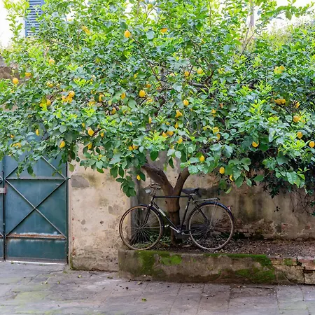 Via Corsica 10 Bed & Breakfast